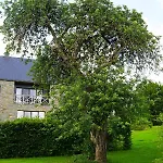 Domaine Du Vieux Chene Stoumont