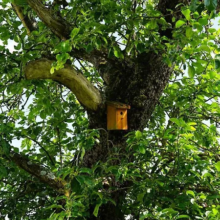 Domaine Du Vieux Chene Nocleg ze śniadaniem