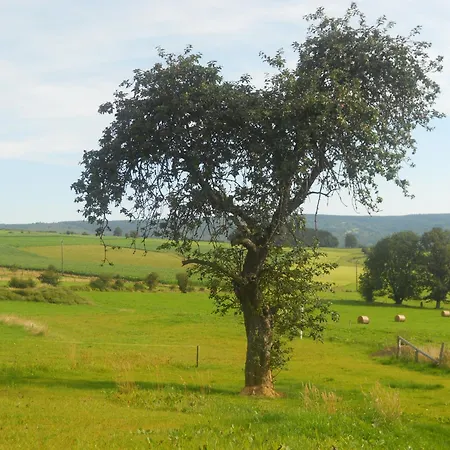 Bed & Breakfast Domaine Du Vieux Chene 4*